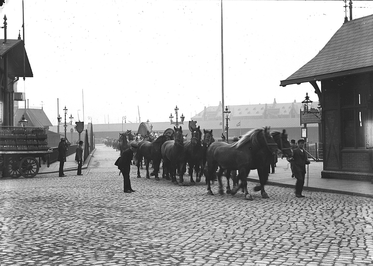 American horses passing through customs at the Niedernbaum Bridge. © Picture Archive Monument Protection Office, Johann and Heinrich Hamann