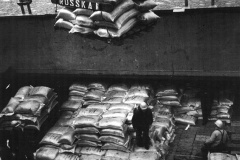 Hamburg-Steinwerder: Rosskai, Getreideumschlag im Hafen im Jahr 1980 © Bildarchiv Denkmalschutzamt - Erich Andres