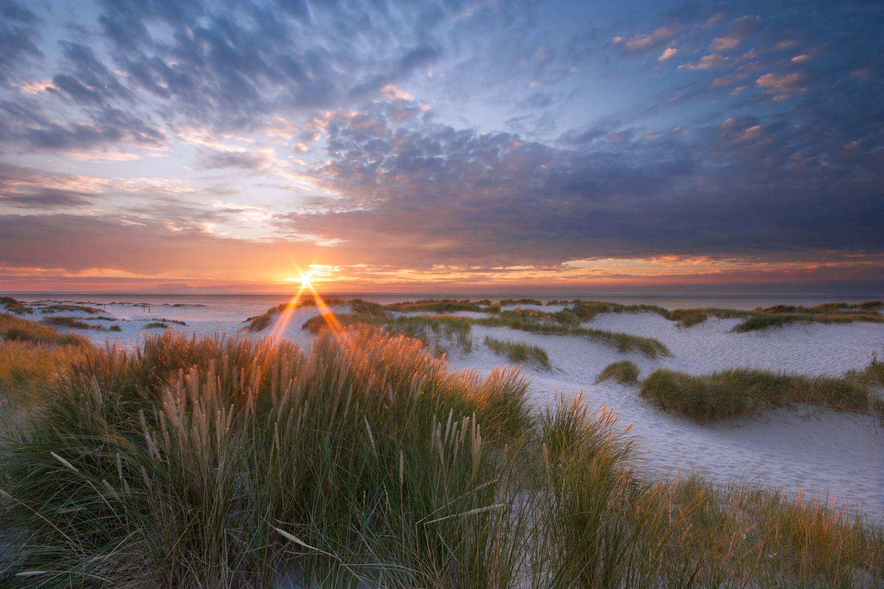 Die letzten Sonnenstrahlen streifen die Dünen, bevor die Sonne im Meer versinkt. © A. Schnabler