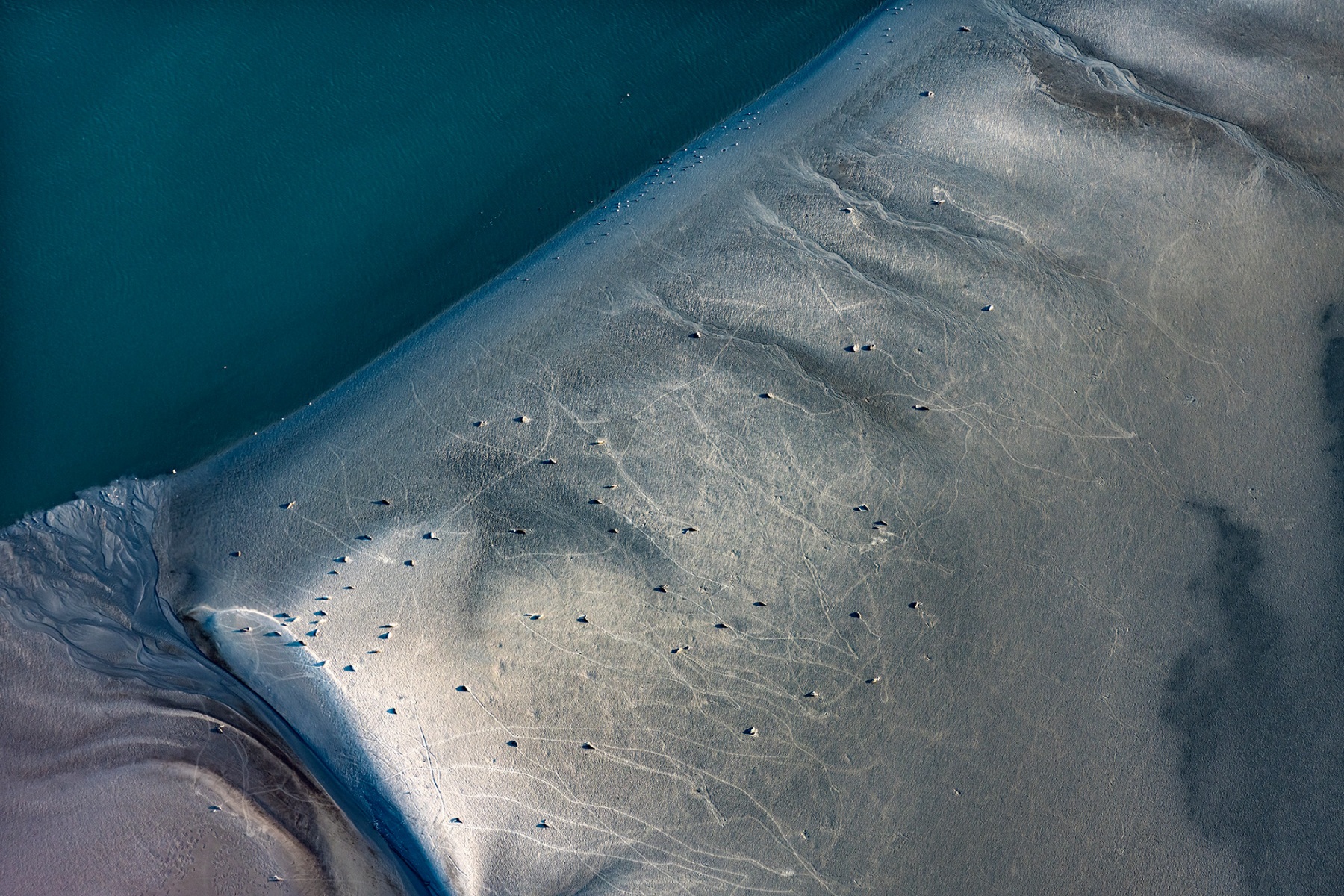 A sandbank in the mudflats is a favorite spot for seals. © Martin Elsen